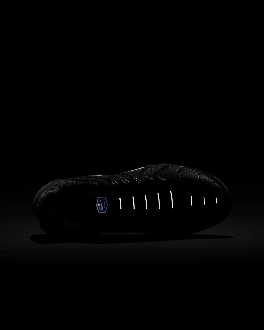 Nike Air Max Plus (Tn)